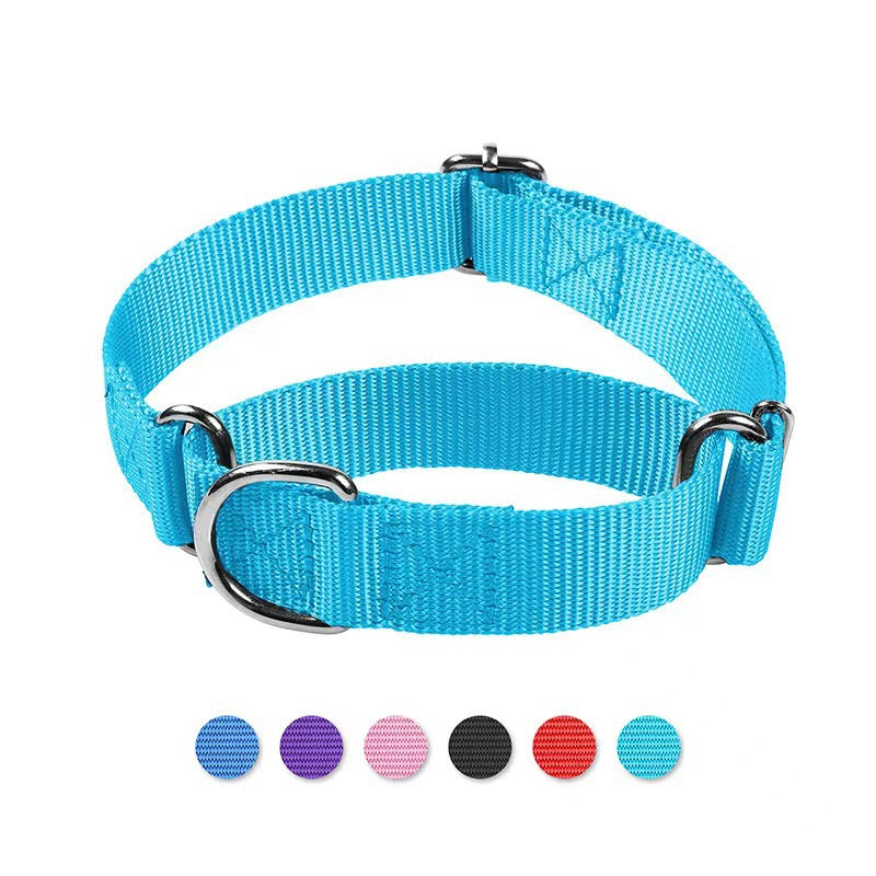 Collier-laisse anti-fugue coloris noir pour chien