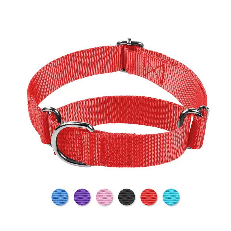 Détail du système coulissant anti-fugue du collier-laisse
