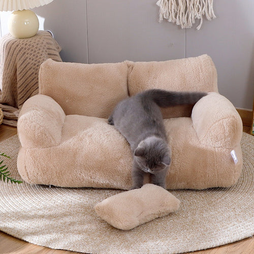 Chat installé dans le canapé chat moelleux