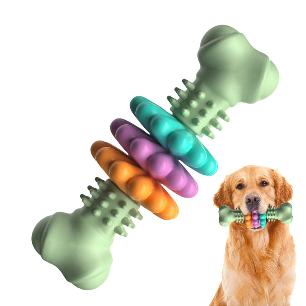 Chien mâchant l'os à mâcher en TPR