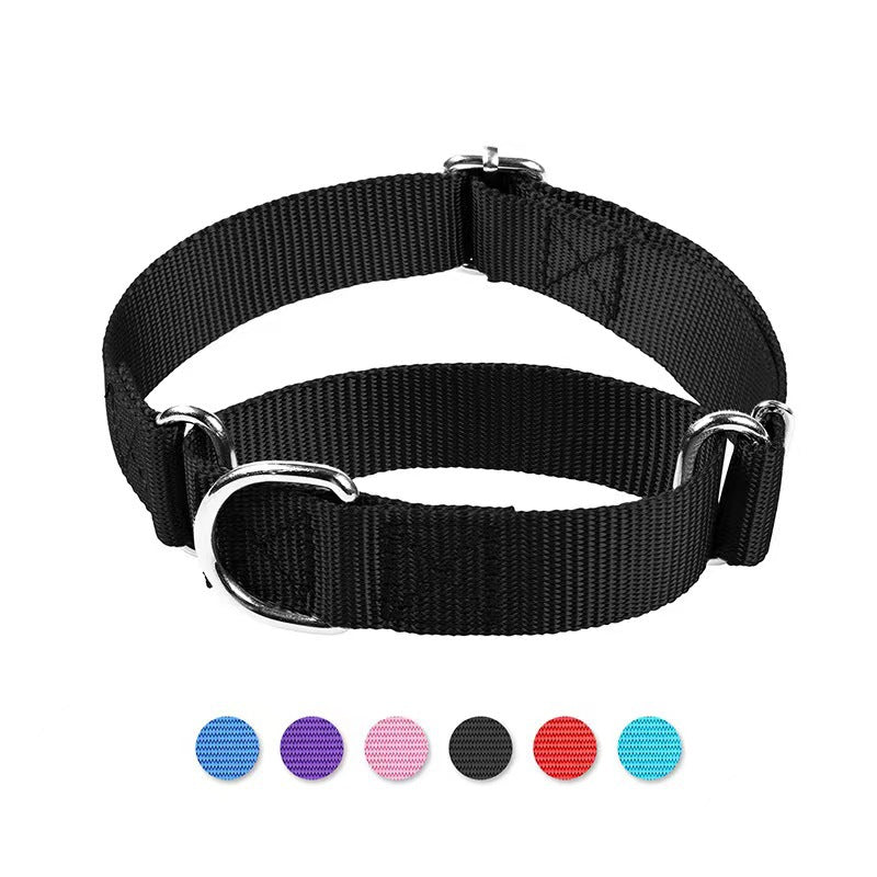 Poignée intégrée du collier-laisse anti-fugue en nylon