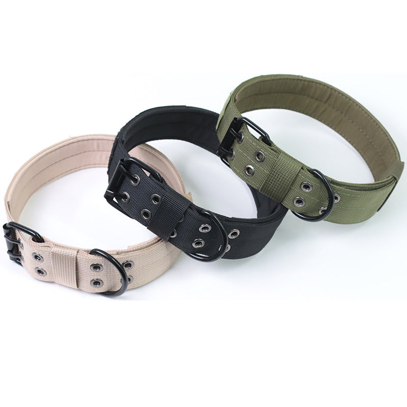 Détail de l'anneau D en métal du collier militaire pour chien