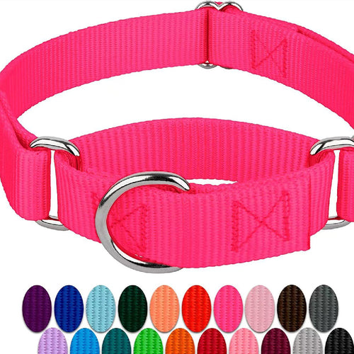 Collier-laisse anti-fugue en nylon avec poignée pour chien et chat, vue principale