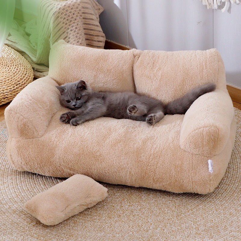Chat dormant dans le canapé chat chaud et confortable