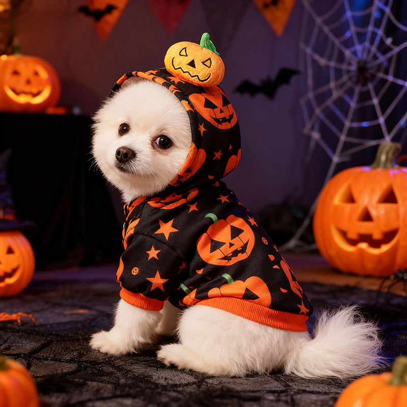 Sweat à capuche Halloween imprimé citrouilles pour chien et chat, vue principale
