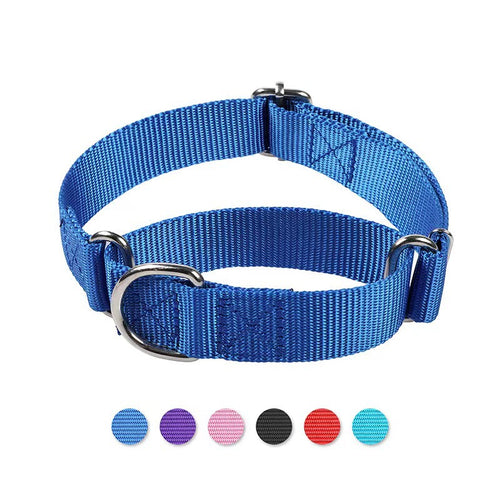 Chien portant le collier-laisse anti-fugue avec poignée intégrée