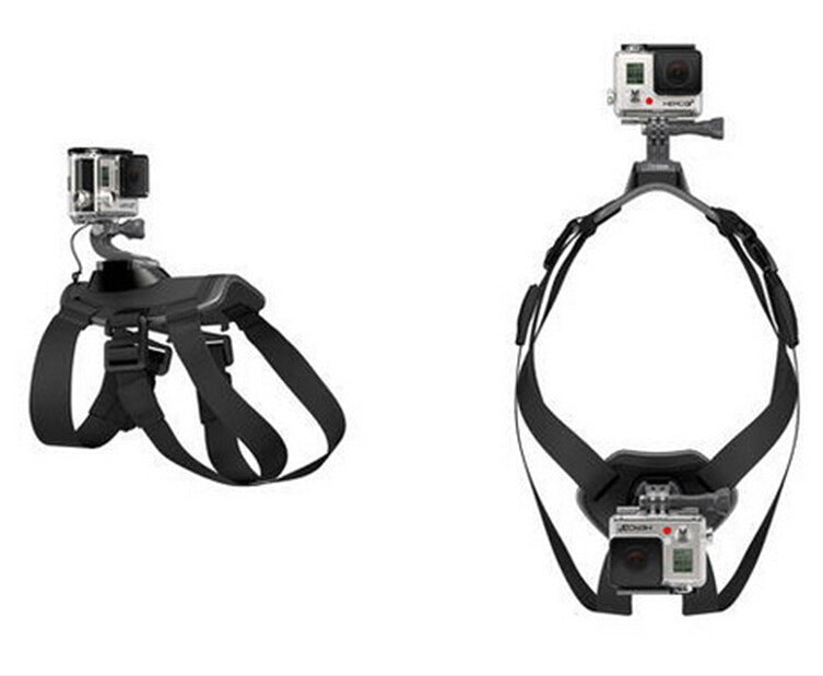 Détail du support caméra sur le dos du harnais GoPro pour chien