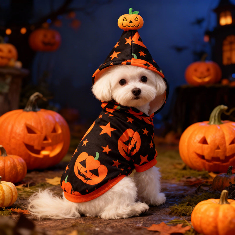 Détail de la capuche du sweat Halloween citrouilles pour chien et chat