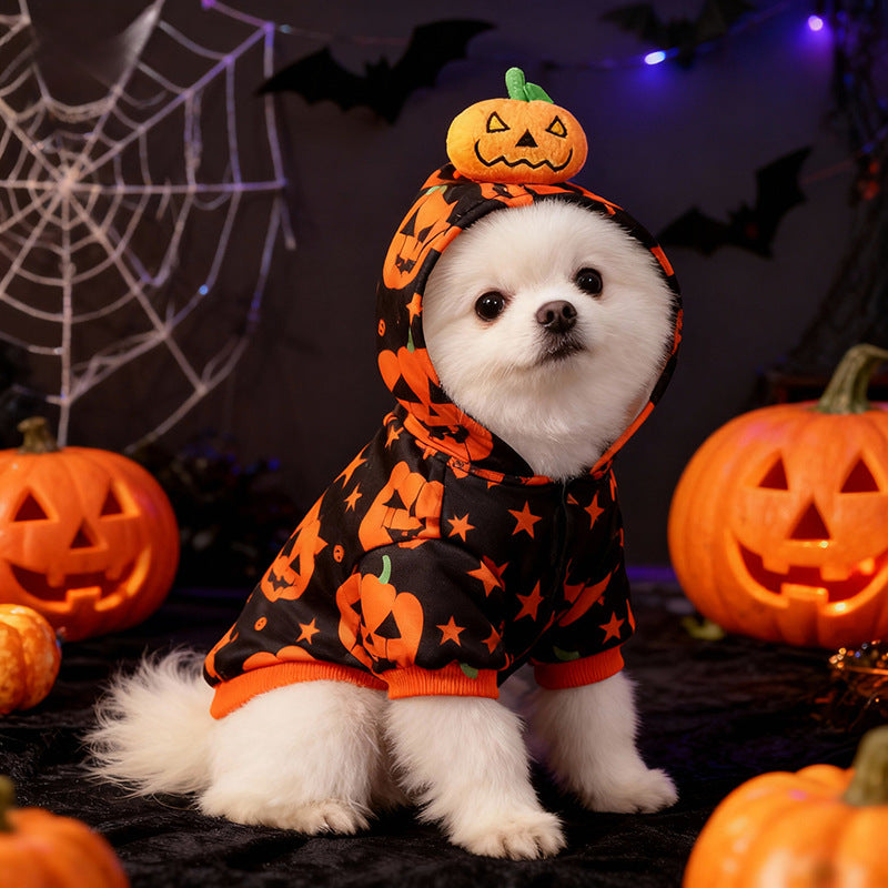 Sweat Halloween citrouilles pour chien porté de face