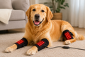 Tapis de thérapie infrarouge LED pour chien et chat - Soulagement articulations et pattes