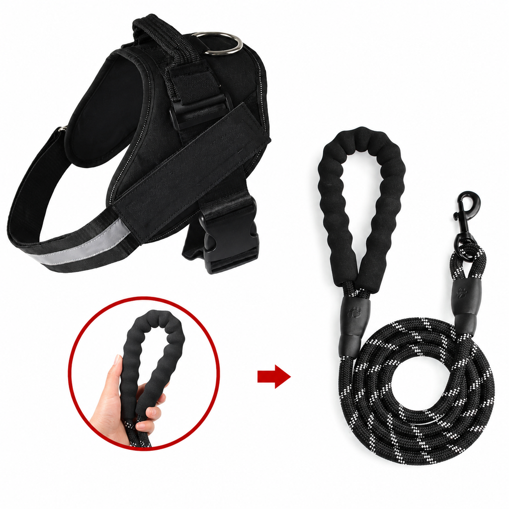 Chien portant le harnais gilet anti-traction avec laisse