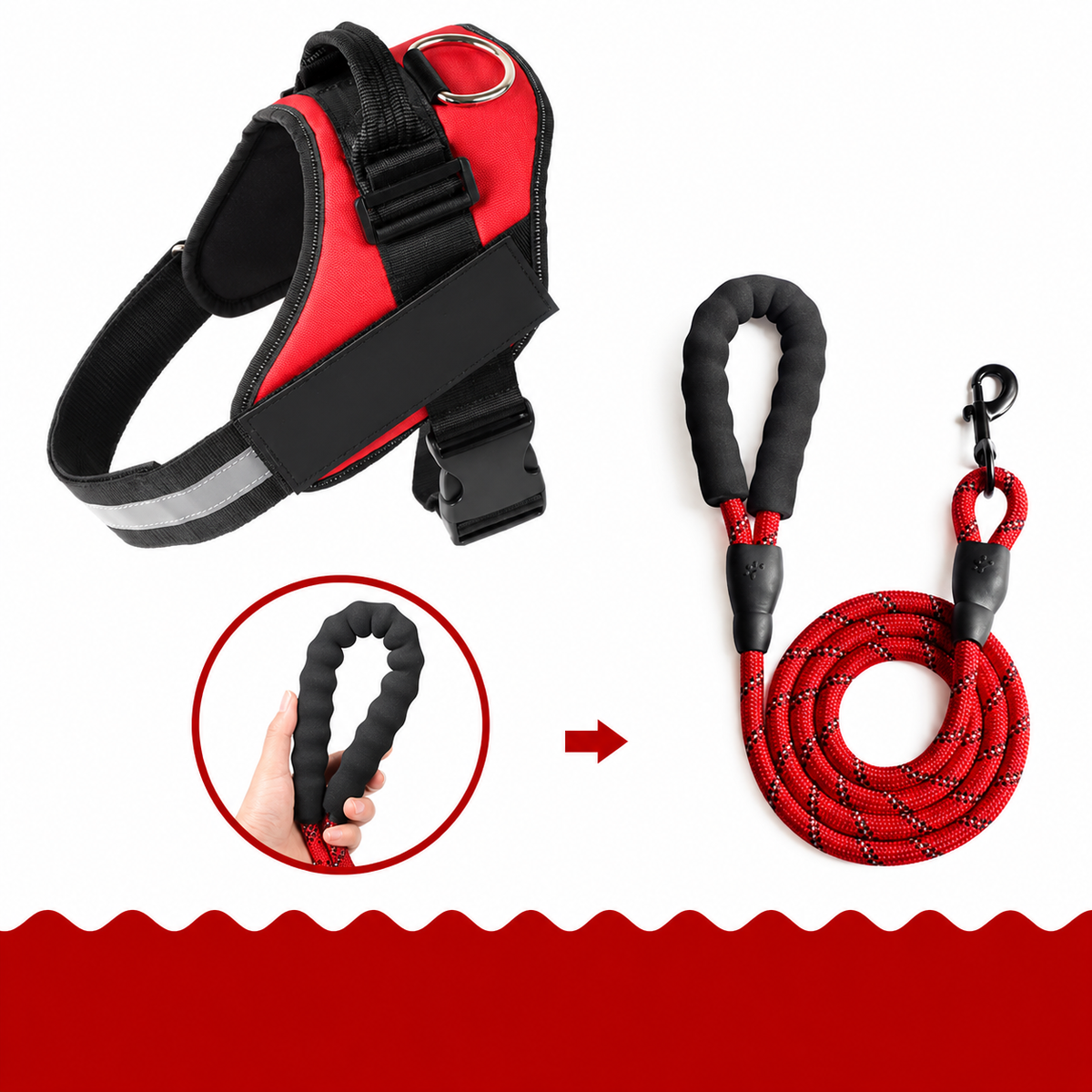 Chien de petite taille portant le harnais gilet anti-traction