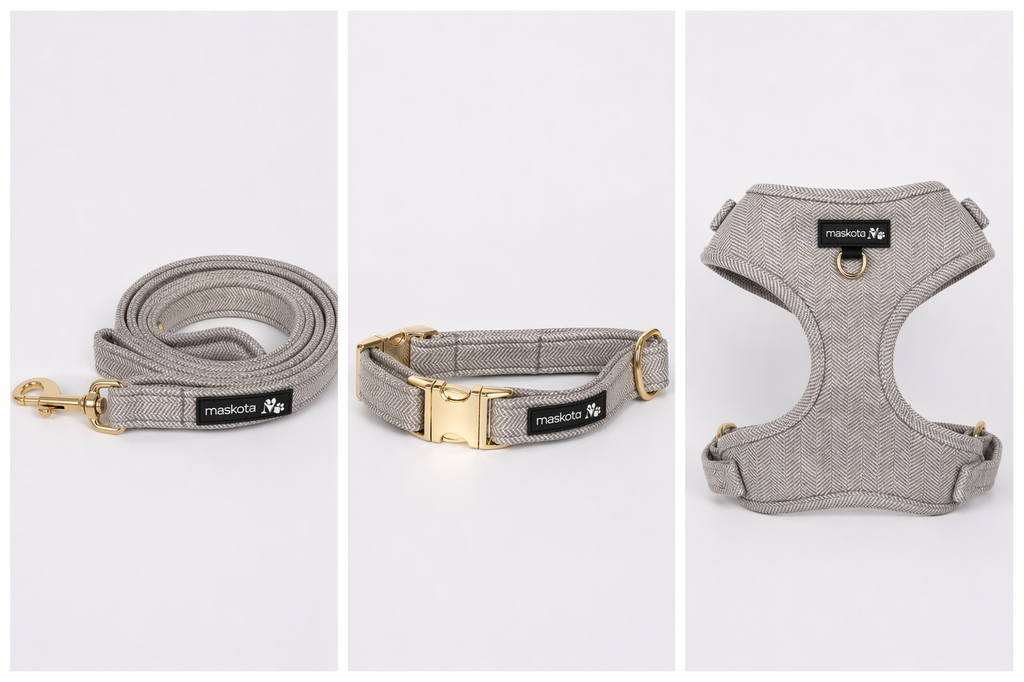 Ensemble Harnais, Collier & Laisse pour chien-Bientôt disponible