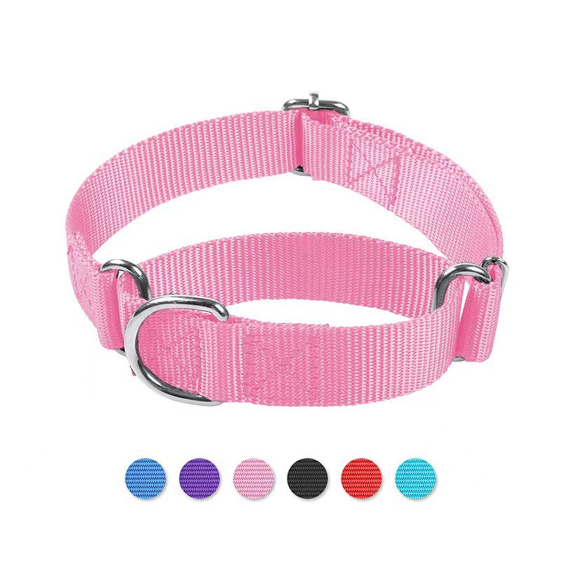 Collier-laisse anti-fugue coloris violet pour chien et chat