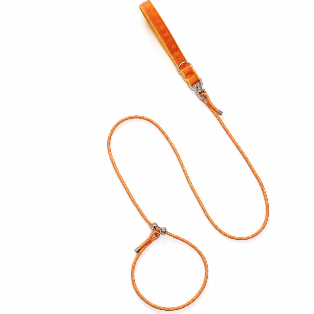 Laisse en P pour chien en corde d'escalade, coloris orange