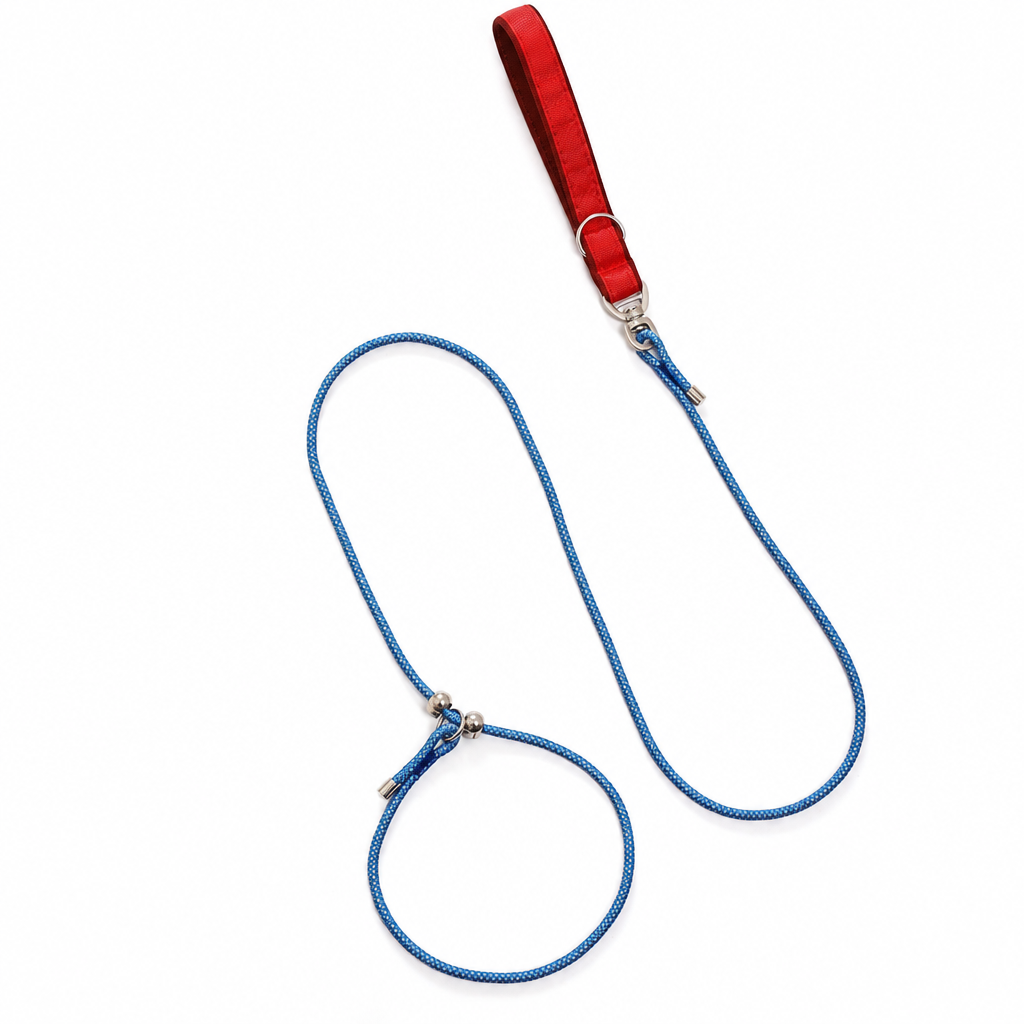 Laisse en P pour chien en corde d'escalade, coloris rouge et bleu
