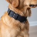 Gros plan sur la boucle métallique et les coutures d'un collier en cuir noir